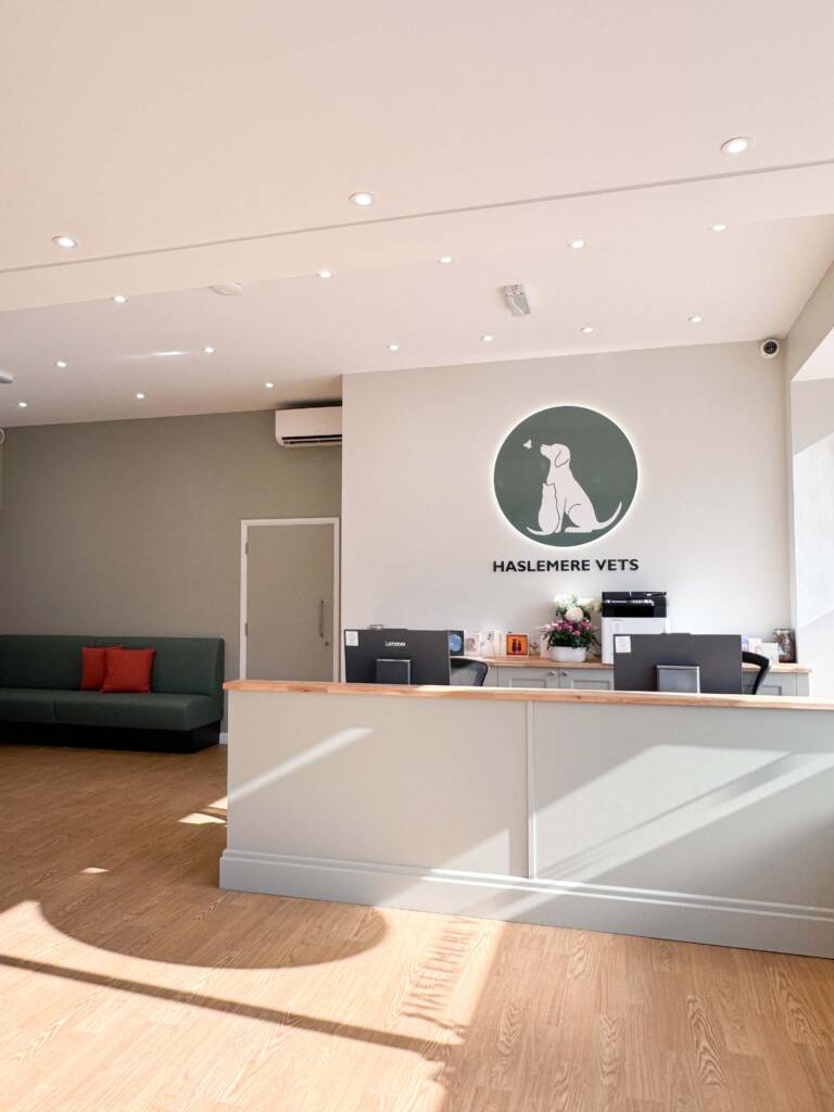 Haslemere Vets interior reception and waiting area