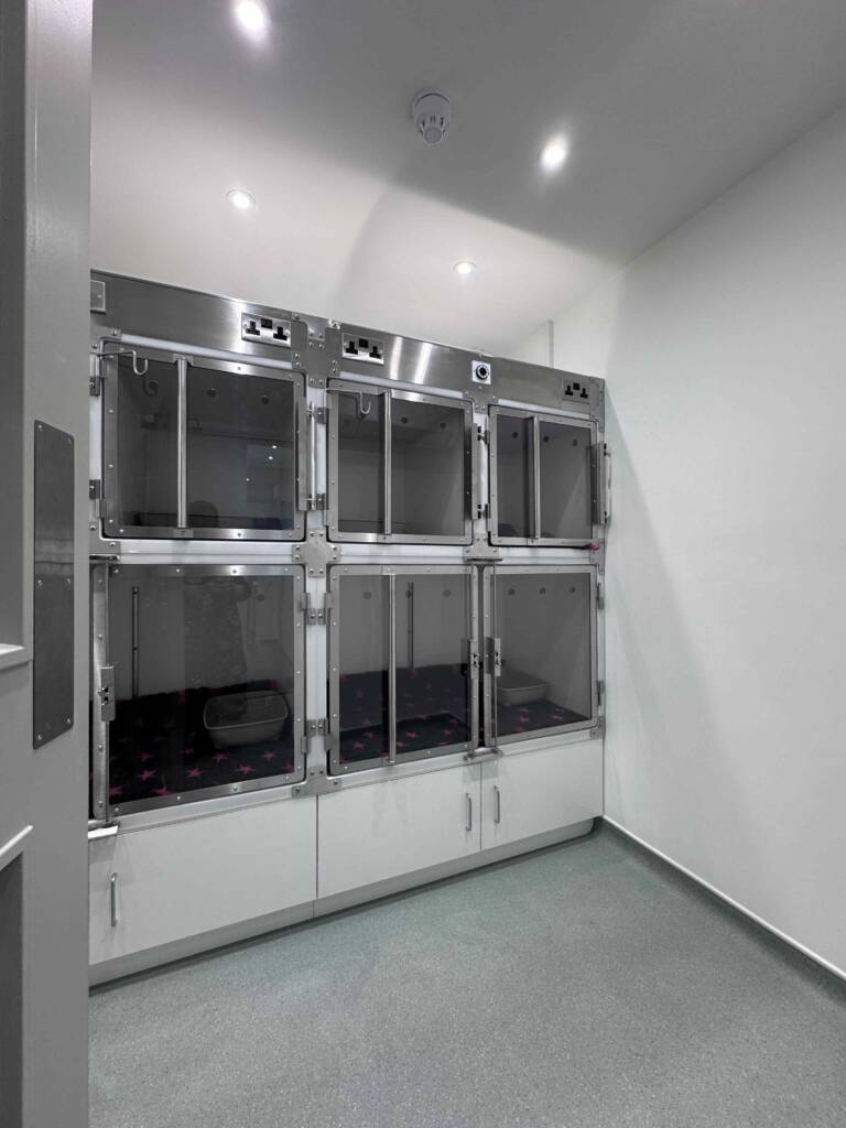 Haslemere Vets kennel room