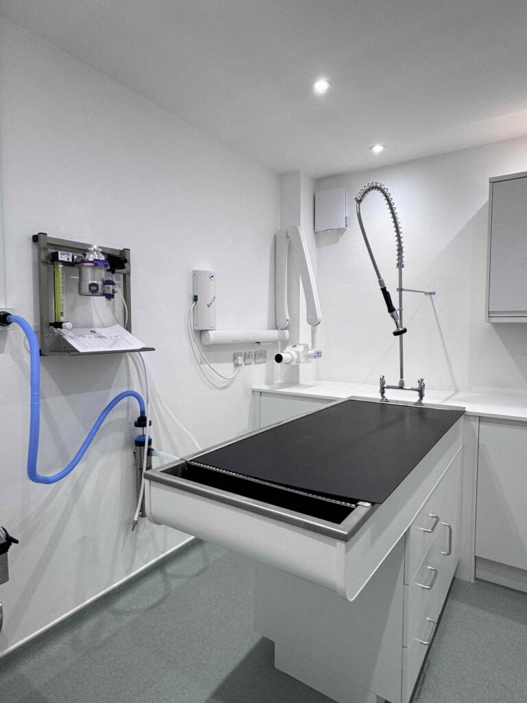 Haslemere Vets operating room