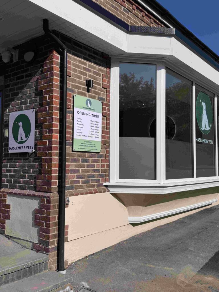 Haslemere Vets exterior with entrance and main window